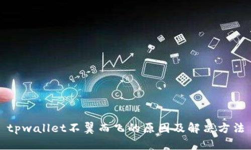 tpwallet不翼而飞的原因及解决方法