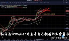 如何在TPWallet中查看自己拥有的加密货币