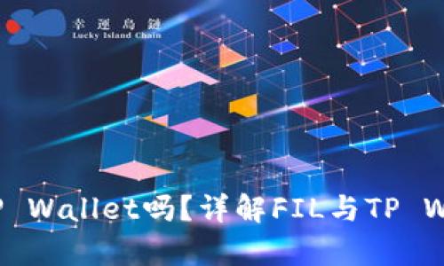 FIL可以放入TP Wallet吗？详解FIL与TP Wallet的兼容性
